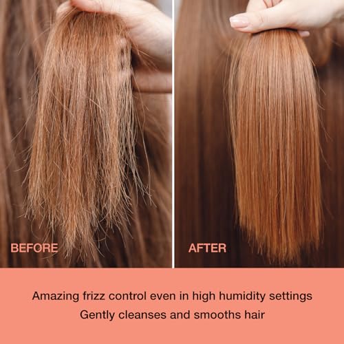 Ginger Lily Farms Salon Formula FrizzFreeze Pro Anti-Frizz Shampoo for Frizzy Hair, 100% Vegan & Cruelty-Free, 1 Gallon (128 fl oz) Refill