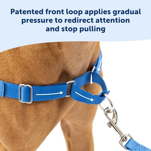 PetSafe Easy Walk No-Pull Dog Harness - The Ultimate Harness to Help Stop Pulling - Take Control & Teach Better Leash Manners - Helps Prevent Pets Pulling on Walks, X-Large, Black/Silver