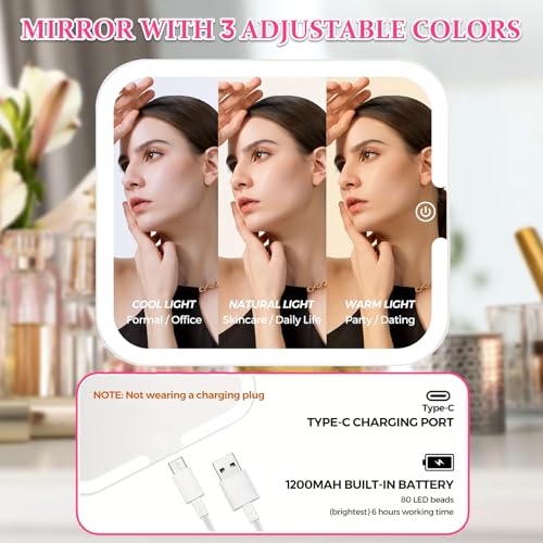 Makeup Box with Detachable Lighted Mirror?Travel Train Case, Cosmetic Storage Organizer & Makeup Suitcase with Adjustable Dividers & Magnetic LED Mirror (Pink)