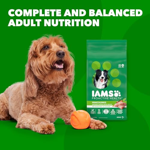 IAMS Proactive Health Minichunks Adult Dry Dog Food with Real Chicken and Whole Grains, 40 lb. Bag