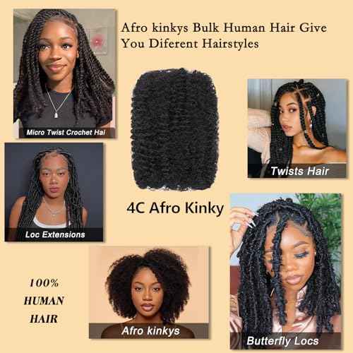 Afro Kinkys Bulk Human Hair for Braiding Afro Kinky-Curly Human Hair Bulk For Mini Twist, Repair Locs Hair Bulk Human Braiding Hair for Micro Dreadlocs Extensions 18 Inch(1B,35g/pack)