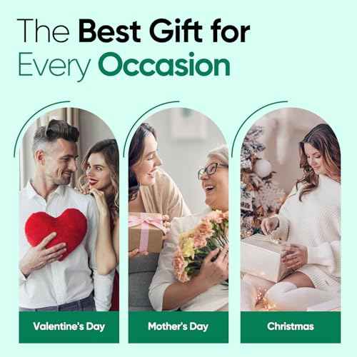 Shower Steamers Aromatherapy - 18 Pack Eucalyptus & Menthol Shower Tablets, Long-Lasting Strong Scent Vapor Bombs with Natural Essential Oil Stress Relief Christmas Gifts for Women and Men