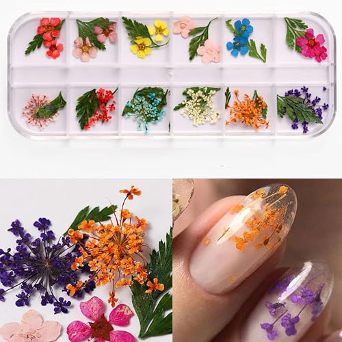 Dry Dried Flowers for Nails, Nails Decoration,Natural Pressed Petals for Nail Art Design, Perfect for DIY Manicure (A01)