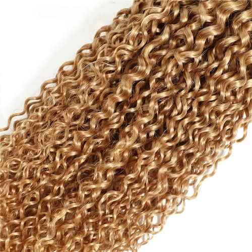 Blonde Bundles Color 27 Human Hair Honey Blonde Kinky Curly Human Hair Weave No Tangle Hair Extensions For Women Brazilian Unprocessed Virgin Hair 8 10 12 Inch