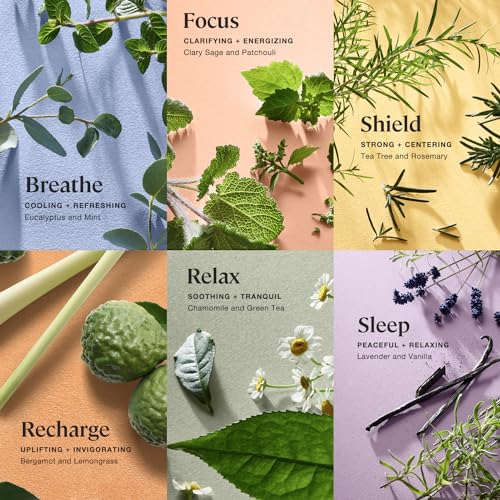 Sprig by Kohler Bath Bomb Gift Set, Hypoallergenic, Made with Natural Botanicals & Premium Skincare Ingredients (Shea Butter, Coconut Oil, & Kaolin Clay) - 6 Pack