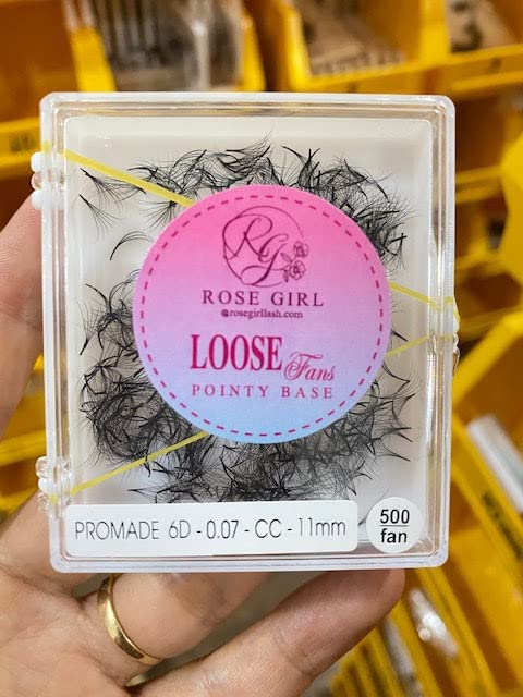 ROSE GIRL Loose Promade Fans - Natural Look Handmade Volume Eyelashes From 3D To 16D - C CC D DD Curl - False Lashes Extensions - Thickness 0.03~0.1 mm - 8~20 mm Length(6D-0.07-CC (10mm))