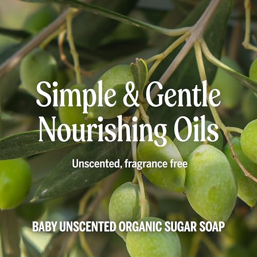 Dr. Bronner's Organic Sugar Soap Baby Unscented 12oz