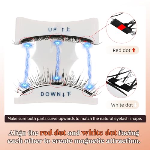 Crislashes Magnetic Eyelashes, 2 Pairs Reusable Magnetic Eyelashes with Applicator Natural Look Magnetic Lashes No Glue Needed Magnetic Eyelashes without Eyeliner (Style A+B) ﻿