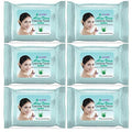 Epielle Makeup Remover Wipes Oil-Free & Hypoallergenic, Aloe Vera — 30 Sheets/Pack, Pack of 6