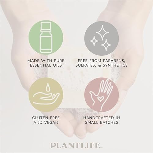 Plantlife Cassia Clove Bar Soap - Moisturizing and Soothing Soap for Your Skin - Hand Crafted Using Plant-Based Ingredients - Made in California 4oz Bar