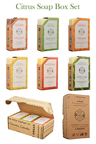 Crate 61, Handmade in Canada, Plant Based Cold Process Natural Bar Soap, With Premium Essential Oils, Dry Skin, Pack of 6 (Citrus)