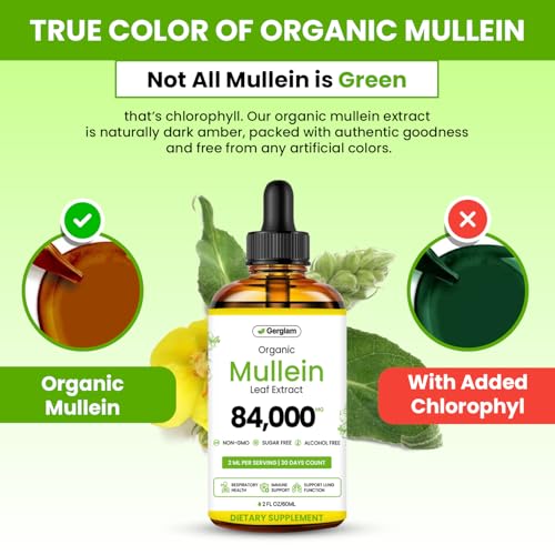Gerglam Mullein Lung Detox Drops 2 Fl Oz USDA Organic Herbal Support for Respiratory Wellness