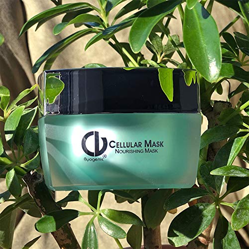 Organic Raw Shea and Mango Butter | 100% Pure,Natural & Unrefined Body and Hair Moisturizer, 3.53 oz