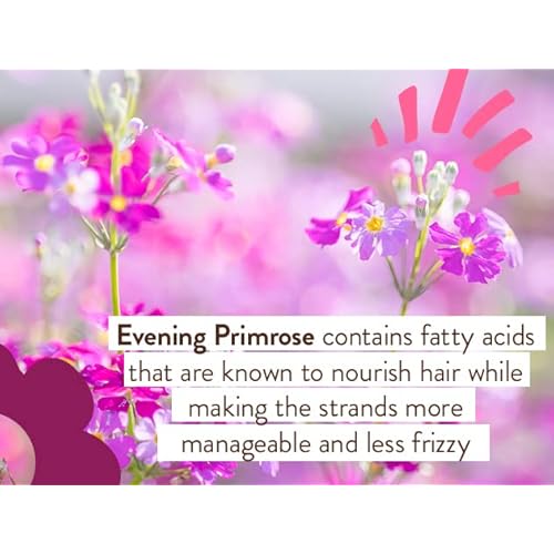 Babo Botanicals Smoothing Berry Conditioning Spray - Detangling & Nourishing - Eliminates Frizz & Prevents Static - Evening Primrose Oil - Non-Aerosol - For all ages - Light Berry Fragrance