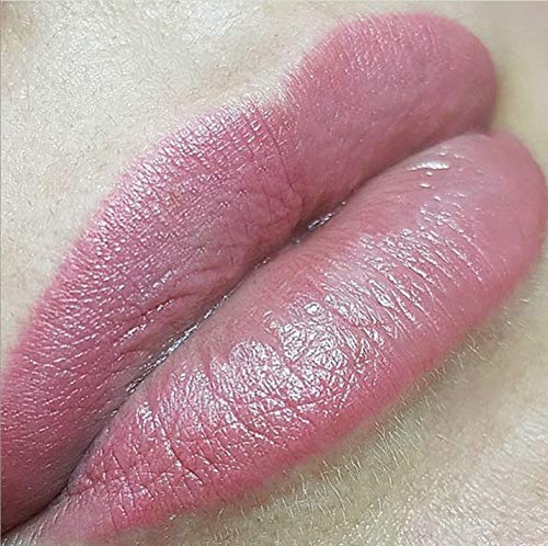 Esthetic World Beauty Nude Lip Pigment for Professionals