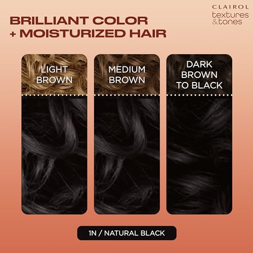 Clairol Textures & Tones Permanent Hair Dye, 1N Natural Black Hair Color, Pack of 2