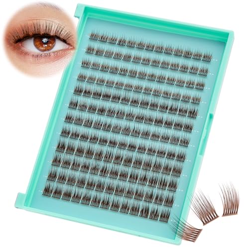 Dark Brown Cluster Lashes B Curl 8-10-12mm Mixed Volume