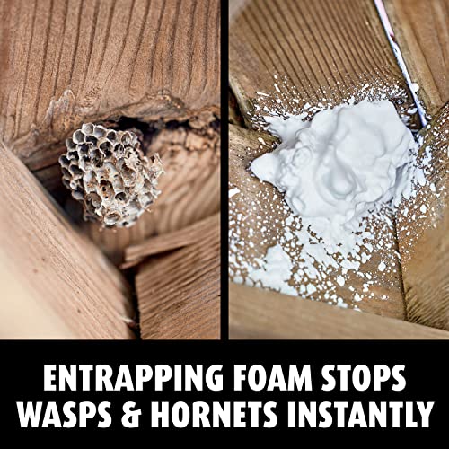 Ortho Home Defense Hornet & Wasp Killer7 For Insects