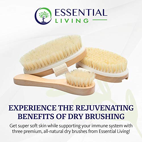 Essential Living: 3-Piece Dry Brushing Spa Kit - 1 Face Brush, 2 Body Scrub Brushes and a Cotton Bag - Body and Skin Care for Exfoliation, Blood Circulation and Lymphatic System Stimulation Support