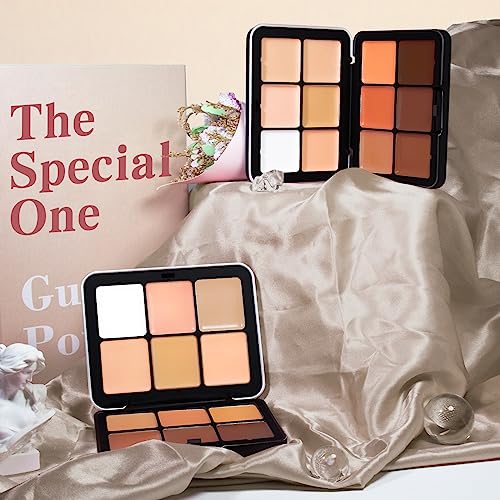 HOSAILY 12 Colors Concealer Palette - Full Coverage Cream Makeup