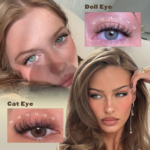 Spider Lash Clusters Kit D Curly 10-16MM Wispy Eyelash Extensions