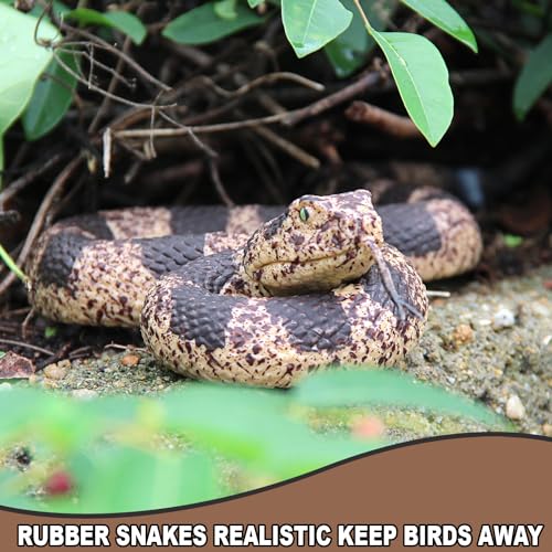 Realistic Rubber Snakes - Scare Birds & Prank Props | Upitry
