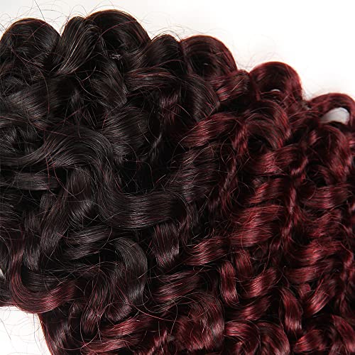 Kinky Curly Human Hair Bundle 28" - 1B99J Ombre Black Burgundy