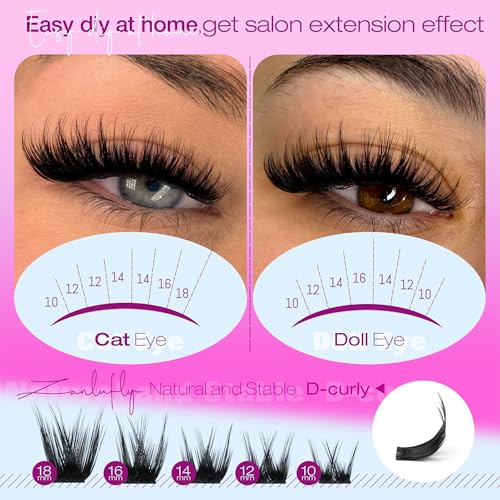 Wispy Lash Clusters Natural Lash Extensions D-curly Eyelash Clusters DIY Eyelash Extensions 10-18MM Individual Cluster Lashes 200Pcs Cluster Eyelash Extensions by ZANLUFLY