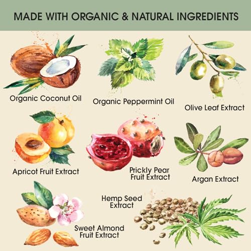 Ginger Lily Farms Botanicals Pure Castile Liquid Soap Refill, Peppermint Scent, 1 Gallon, All-Purpose Cleaner for Body, Face, Hair, Dishes, Laundry & Pets, Non-GMO, 100% Vegan & Cruelty-Free