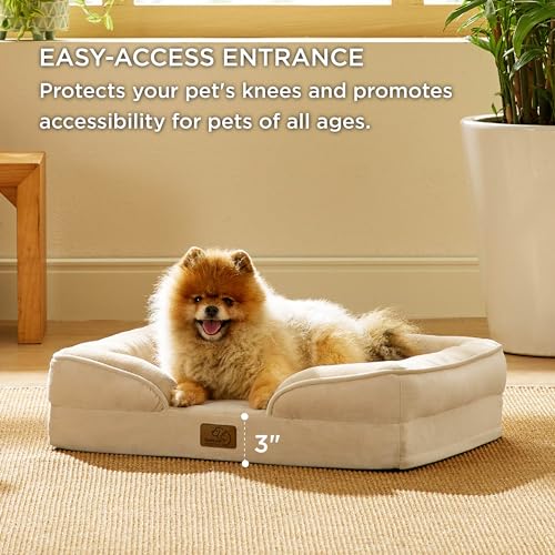 Bedsure Small Orthopedic Dog Bed - Washable Bolster Dog Sofa Beds for Small Dogs, Supportive Foam Pet Couch Bed with Removable Washable Cover, Waterproof Lining and Nonskid Bottom Couch, Light Khaki