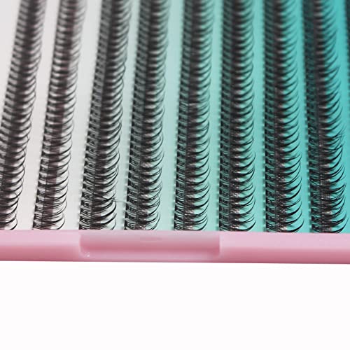 12D Fishtail Cluster Lashes 8-14mm Black Individual Extensions