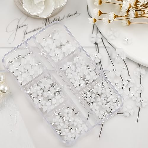 Nail Art Rhinestones Set, 12 Types Nail Art Rhinestones Kit, Nail Flat Rhinestones, Round Beads Crystals Multi Shapes Glass Crystal Rhinestones for DIY Nail Art Craft (AH-03-White)