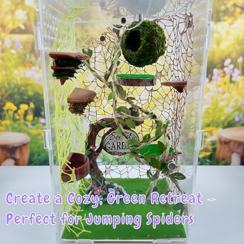 Jumping Spider Hideout & Rope Bridge Decor Set