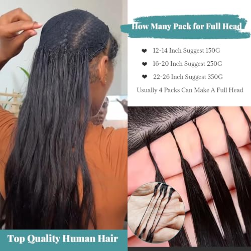 Human Crochet Hair Extensions 14 Inch Yaki Straight Pre-Separated Black #1B
