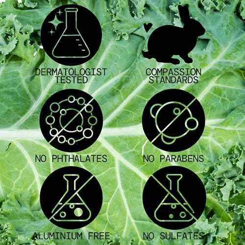 Pacifica Kale Yeah! Redness Rehab Serum ? Niacinamide & Super Greens Face Serum to Calm Redness, Minimize Pores & Oil, Soothing Anti-Redness for Oily/Combination Skin Vegan Dermatologist Tested