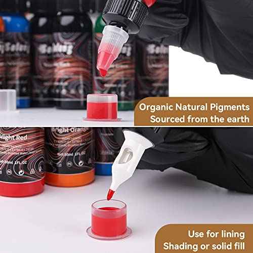 16PCS Tattoo Ink Color Set, Solong Tattoo Ink 1oz (30ml) Pigment Kit for Tattoo Kit Tattoo Ink Set TI302S-30-16