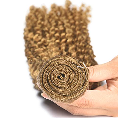 DiexrLamx 27-Blonde J Color 30-34 Inch Honey Blonde Kinky Curly Human Hair Bundles