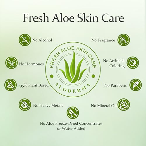 ANUA Rice Enzyme Brightening Cleansing Powder, Exfoliating Powder-to-Foam Cleanser, Smooth Texture & Clarity, Hydrating & Gentle Formula, Korean Skincare,1.41 fl.oz