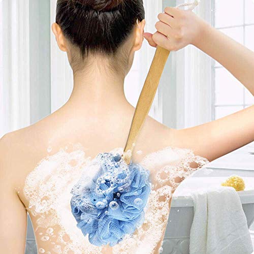 Long Handle Back Scrubber Brush with Loofah Sponge