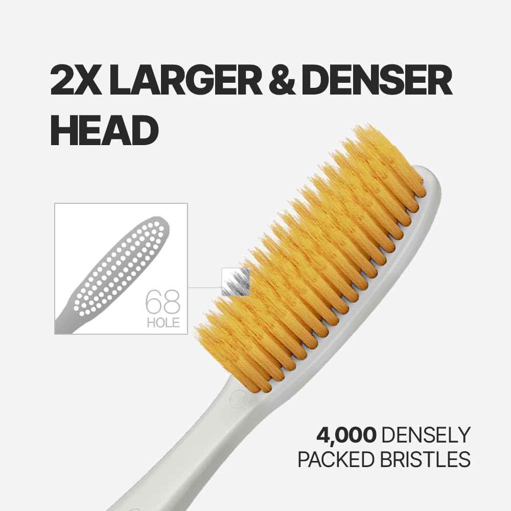 WANGTA Gold – Extra Soft Extra Large Toothbrush – 1.6 inch (4 cm) Wide Head | 4,000 Ultra-Fine Bristles for Sensitive Gums | Premium Korean Toothbrush (10 Pack)