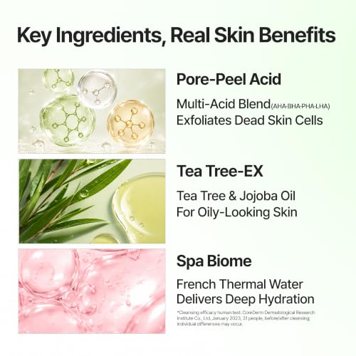 BANILA CO Clean It Zero Tea Tree-EX Pore Clarifying Balm 100ml - Oil & Makeup Remover