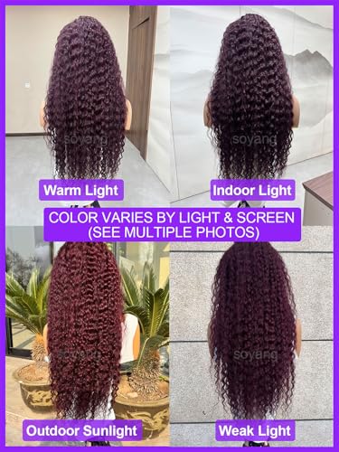Black Cherry 360 Glueless Wig Human Hair 22 Inch Water Wave