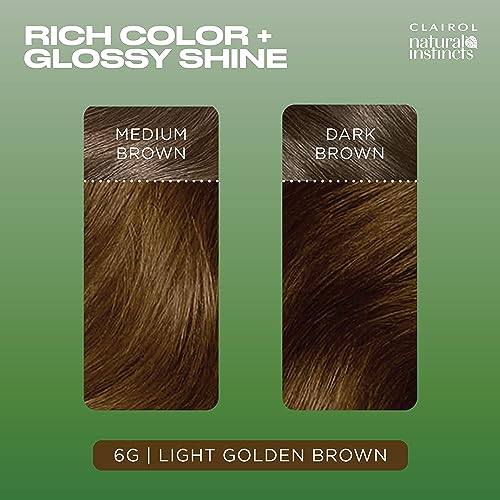 Clairol Natural Instincts Demi-Permanent Hair Dye, 6G Light Golden Brown Hair Color, Pack of 1