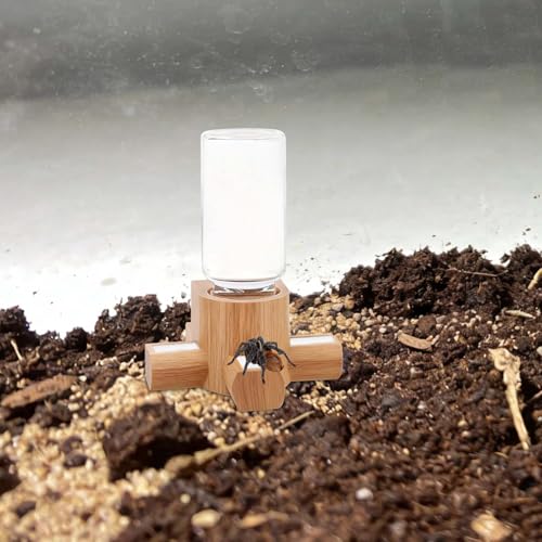 100 Cotton Rolls for Jumping Spider Water Dispenser - Absorbent Replacement Wick