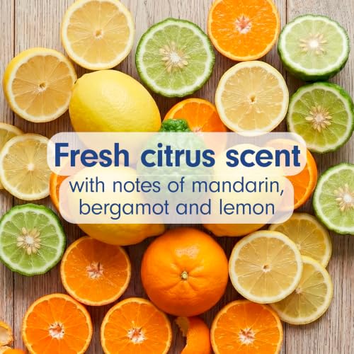 Softsoap Antibacterial Liquid Hand Soap - Fresh Citrus Scent, 11.25 fl oz, Pack of 6