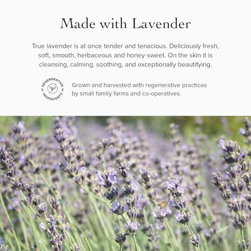 evanhealy Lavender Argan Light Moisturizer | Sheer Antioxidant Natural Moisturizer Cream for Oily Sensitive Skin | Vitamin E Face Cream