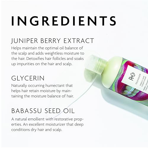 R+Co TELEVISION Perfect Hair Conditioner ? Hydrating & Smoothing Hair Conditioner, Adds Shine & Softness, All Hair Types
