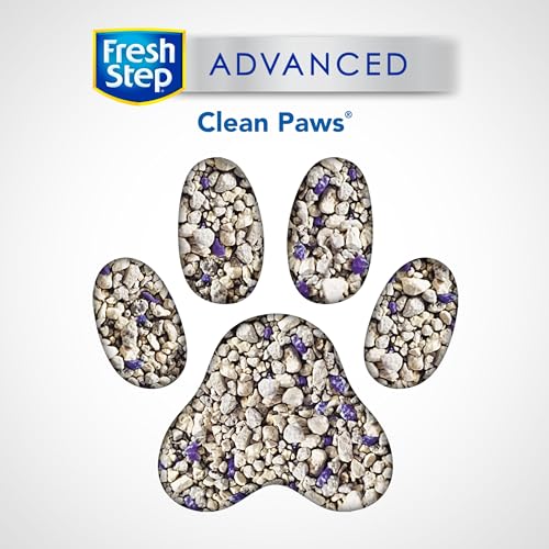 Fresh Step Clumping Cat Litter, Advanced, Clean Paws Multi-Cat, Extra Large, 37 Pounds total (2 Pack of 18.5lb Boxes)