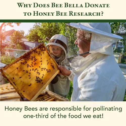 Bee Bella Lip Balm Variety 5 Pack Gift Set, Cherry, Pomegranate Mango, Vanilla Bean, Peppermint, & Lavender Vanilla, Gift, Organic Beeswax with Vitamin E, Handmade in USA