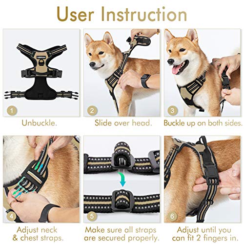 rabbitgoo Dog Harness, No-Pull Pet Harness with 2 Leash Clips, Adjustable Soft Padded Dog Vest, Reflective No-Choke Pet Oxford Vest with Easy Control Handle for Small Dogs, Beige, S